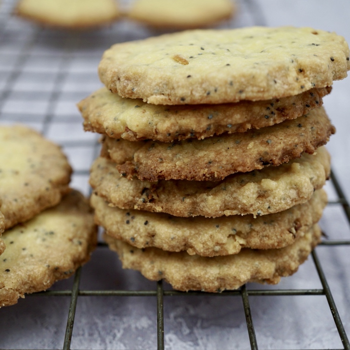 A stack of lemon and poppy seed shortbread biscuits on a wire rack